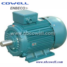 High Efficiency Good Quality Three-Phase Electric Motor